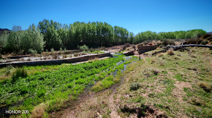 4 Bedroom Property for Sale in Middelburg Rural Eastern Cape